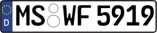 MS-WF5919
