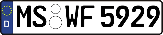 MS-WF5929
