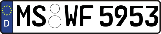 MS-WF5953