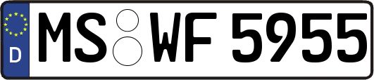 MS-WF5955