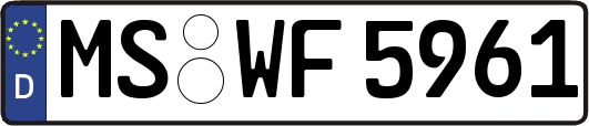 MS-WF5961