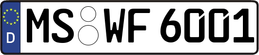 MS-WF6001