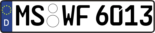 MS-WF6013