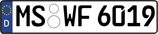 MS-WF6019