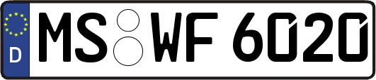 MS-WF6020