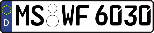MS-WF6030