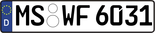 MS-WF6031