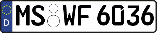 MS-WF6036