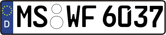 MS-WF6037