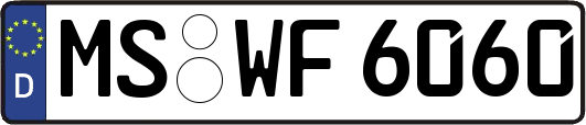 MS-WF6060