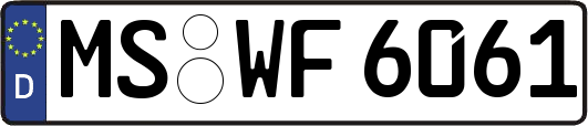 MS-WF6061
