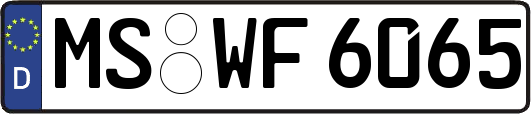 MS-WF6065