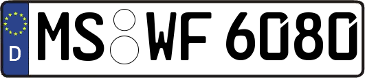 MS-WF6080