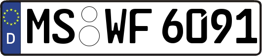 MS-WF6091