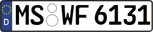 MS-WF6131