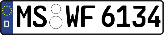 MS-WF6134