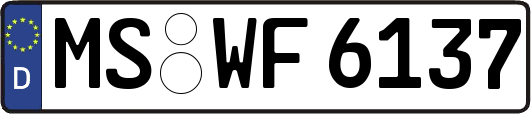 MS-WF6137