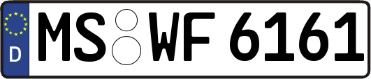 MS-WF6161