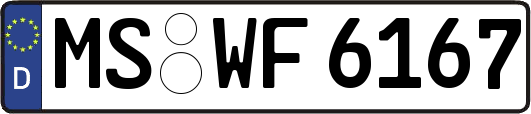 MS-WF6167