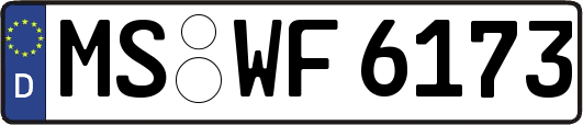 MS-WF6173