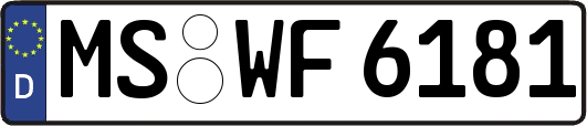 MS-WF6181