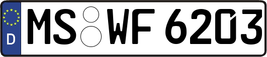MS-WF6203
