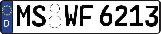 MS-WF6213