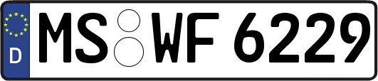 MS-WF6229