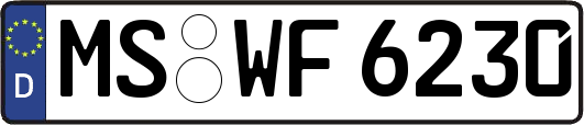 MS-WF6230