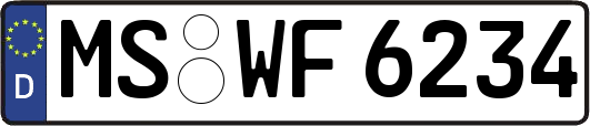 MS-WF6234