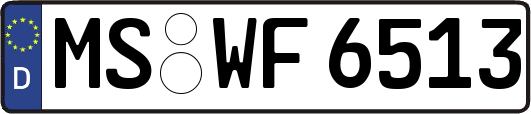 MS-WF6513