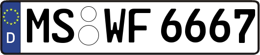 MS-WF6667