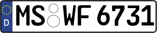 MS-WF6731