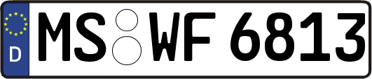MS-WF6813