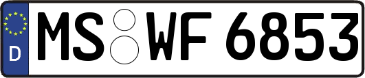 MS-WF6853
