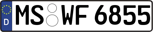 MS-WF6855
