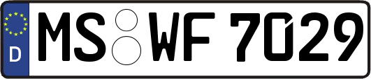 MS-WF7029