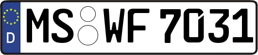 MS-WF7031
