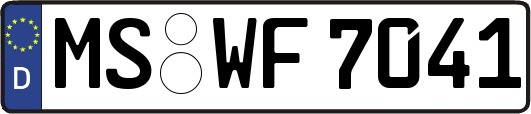 MS-WF7041
