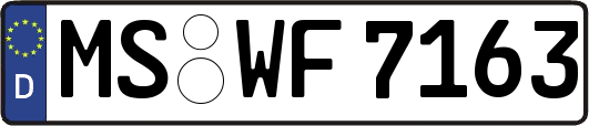 MS-WF7163