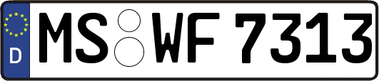MS-WF7313