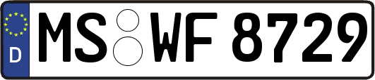 MS-WF8729