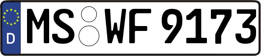 MS-WF9173