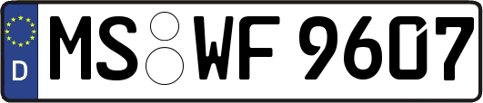 MS-WF9607