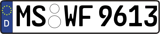 MS-WF9613