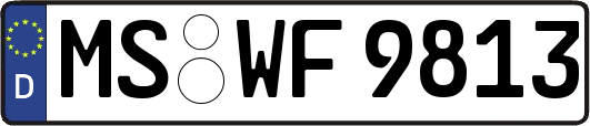 MS-WF9813