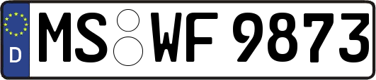 MS-WF9873
