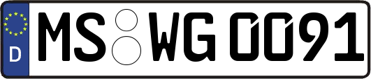 MS-WG0091
