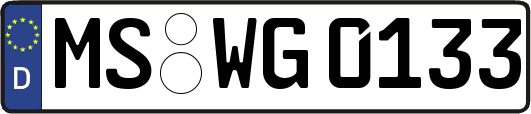 MS-WG0133