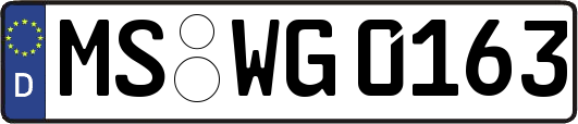 MS-WG0163